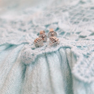 Seashell Earrings